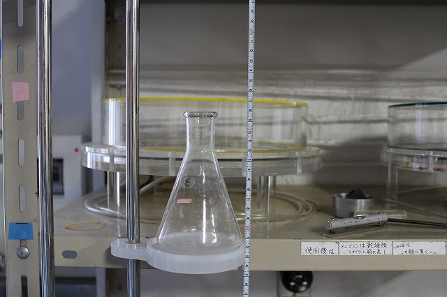 画像の説明 画像の説明