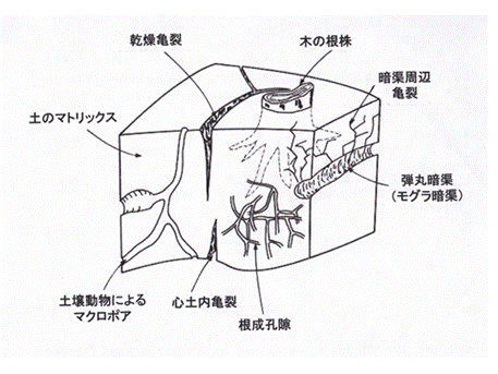 図1