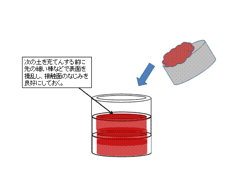 画像の説明 画像の説明