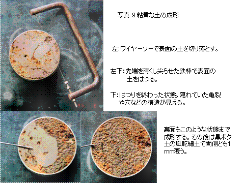 画像の説明 画像の説明