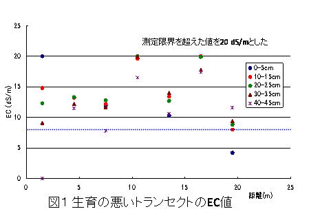 画像の説明 画像の説明