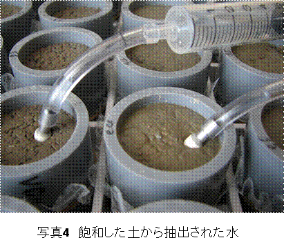 画像の説明 画像の説明